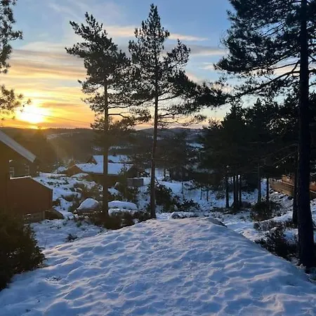 Koselig Naer Alpinbakke Aseral
